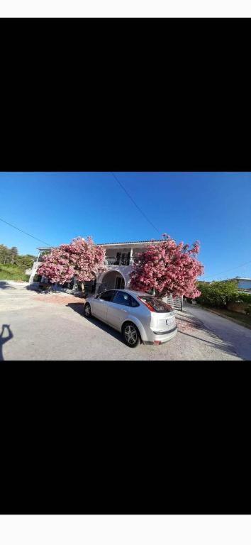 Panos Apartments Laganas Dış mekan fotoğraf
